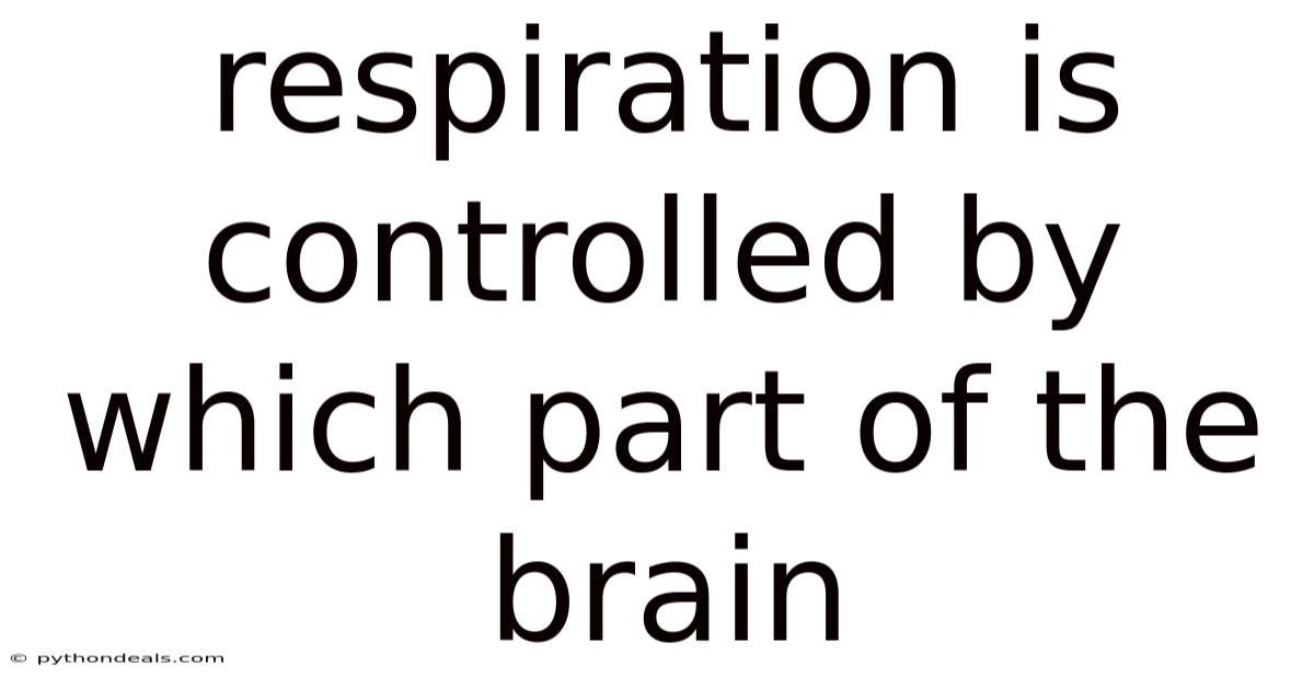 Respiration Is Controlled By Which Part Of The Brain