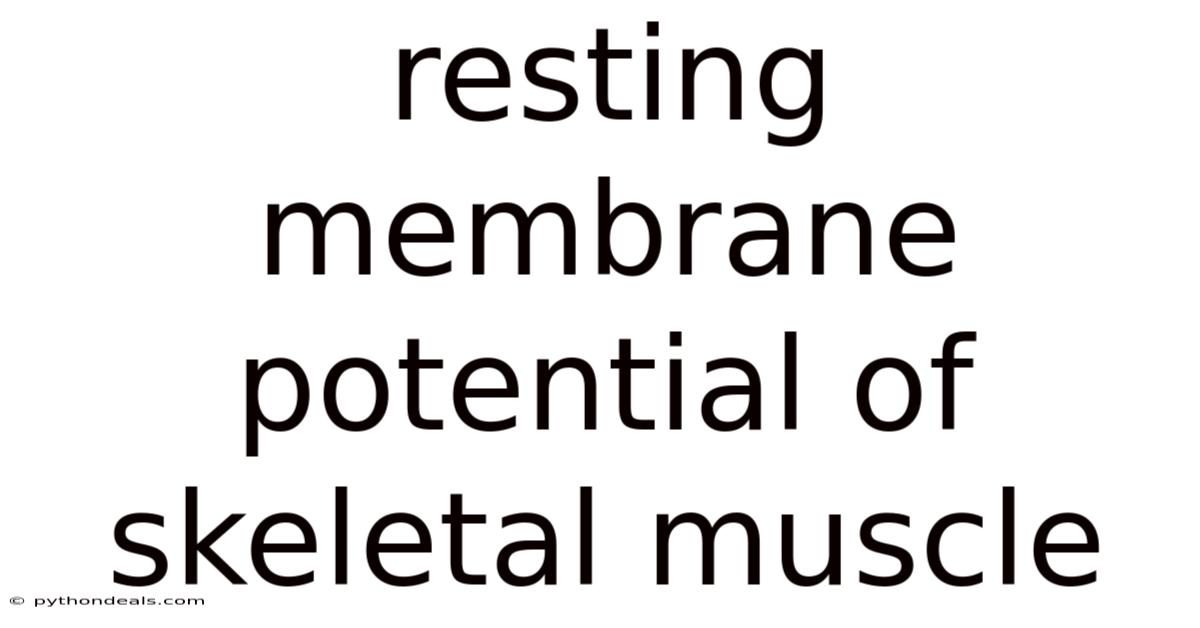 Resting Membrane Potential Of Skeletal Muscle