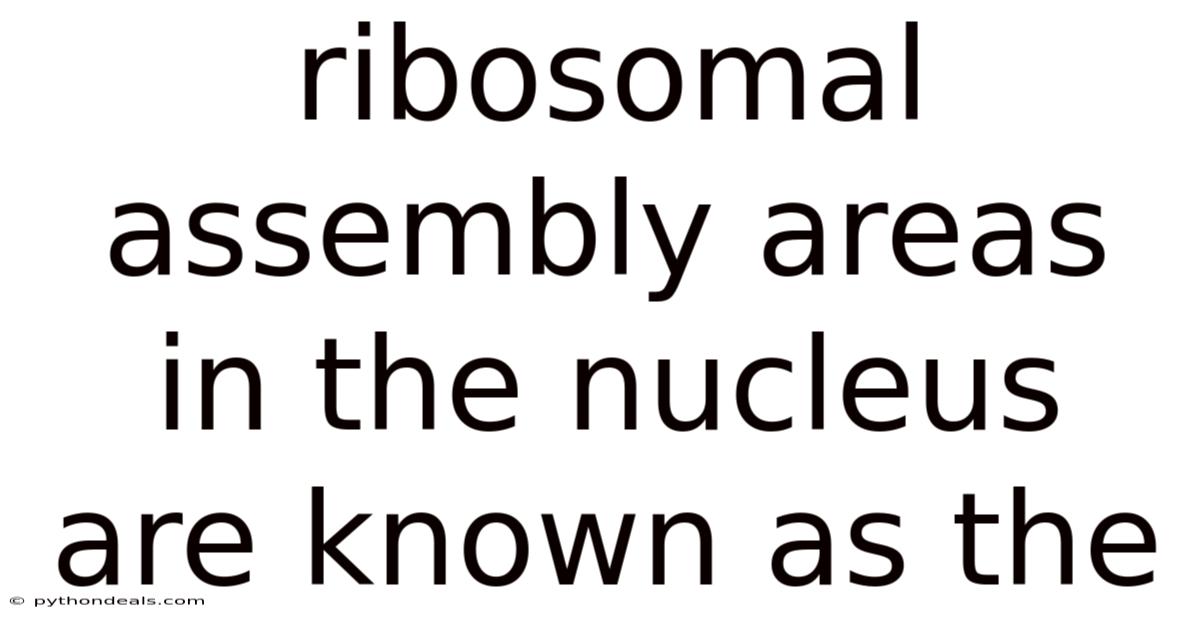 Ribosomal Assembly Areas In The Nucleus Are Known As The
