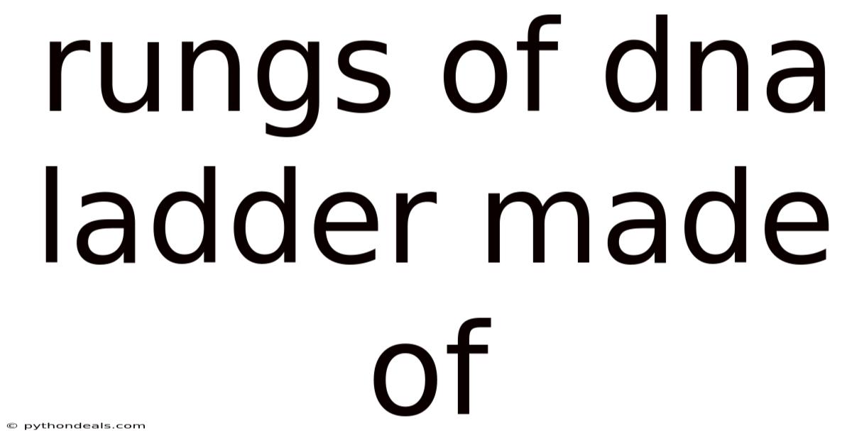 Rungs Of Dna Ladder Made Of