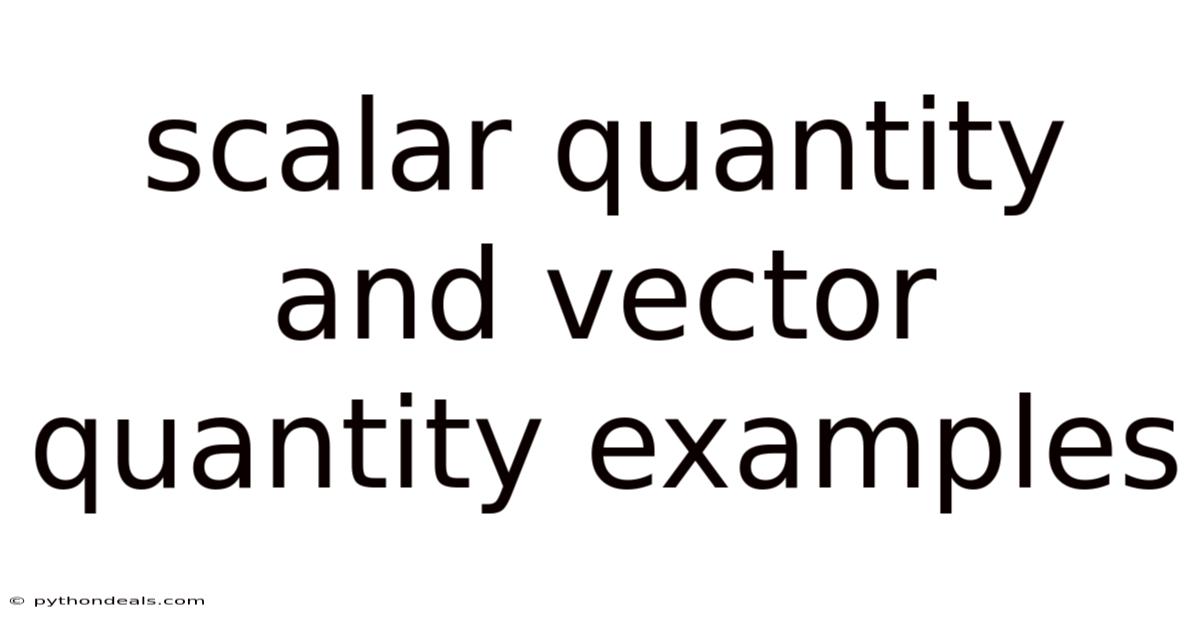Scalar Quantity And Vector Quantity Examples