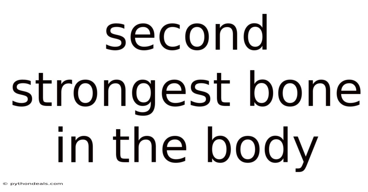Second Strongest Bone In The Body