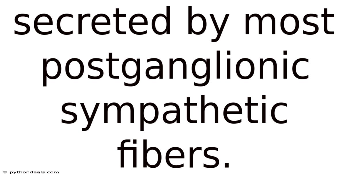 Secreted By Most Postganglionic Sympathetic Fibers.
