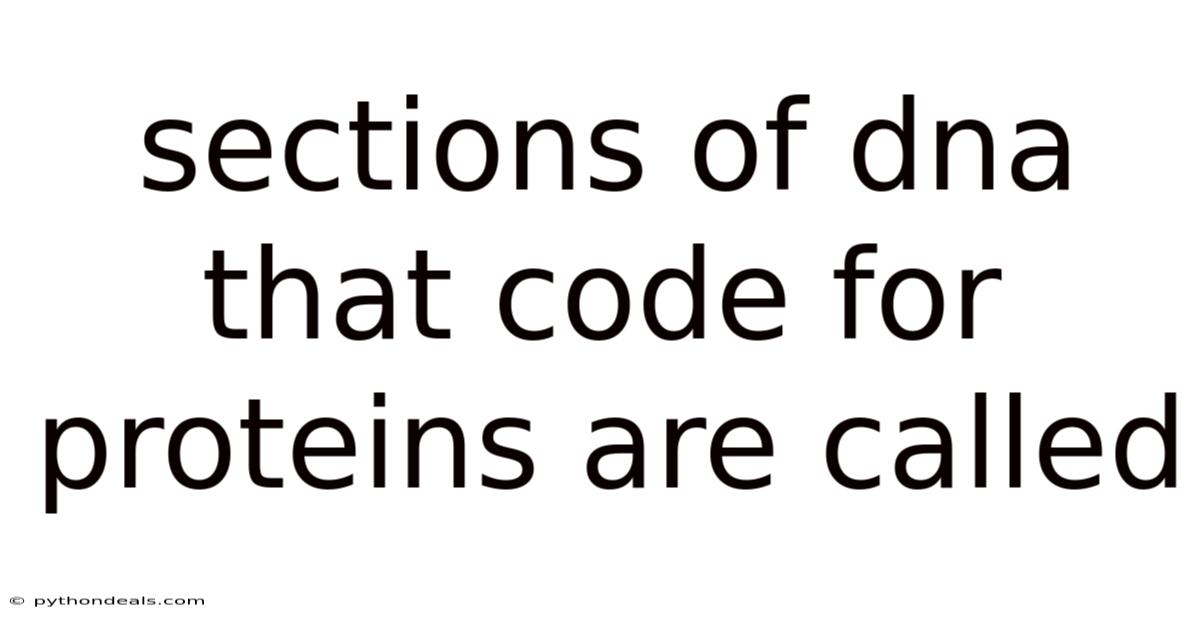 Sections Of Dna That Code For Proteins Are Called