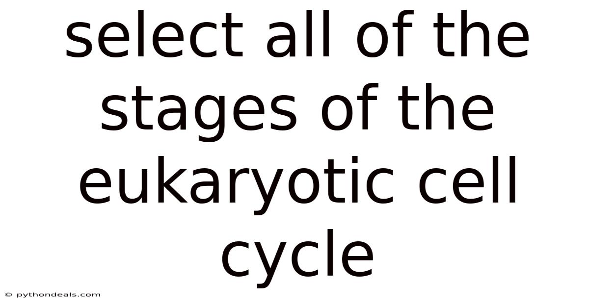 Select All Of The Stages Of The Eukaryotic Cell Cycle