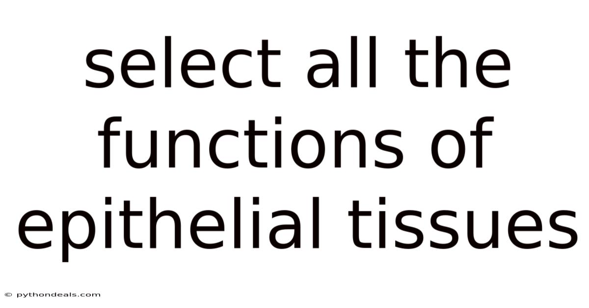 Select All The Functions Of Epithelial Tissues