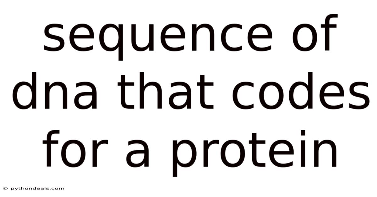 Sequence Of Dna That Codes For A Protein
