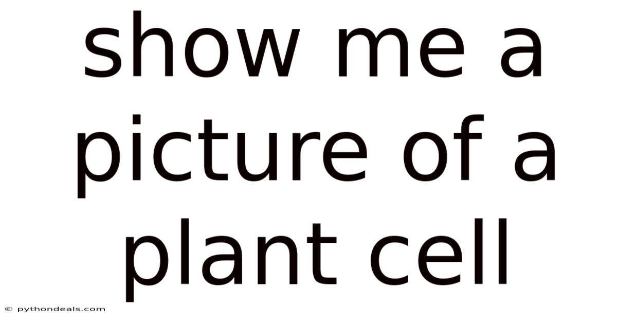 Show Me A Picture Of A Plant Cell