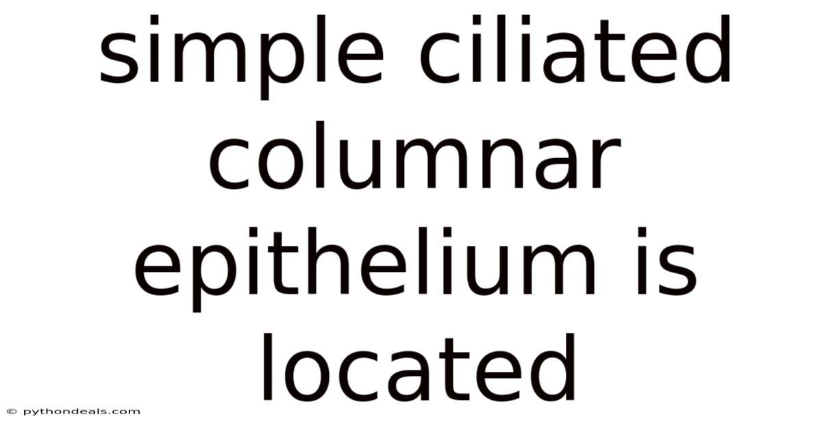 Simple Ciliated Columnar Epithelium Is Located