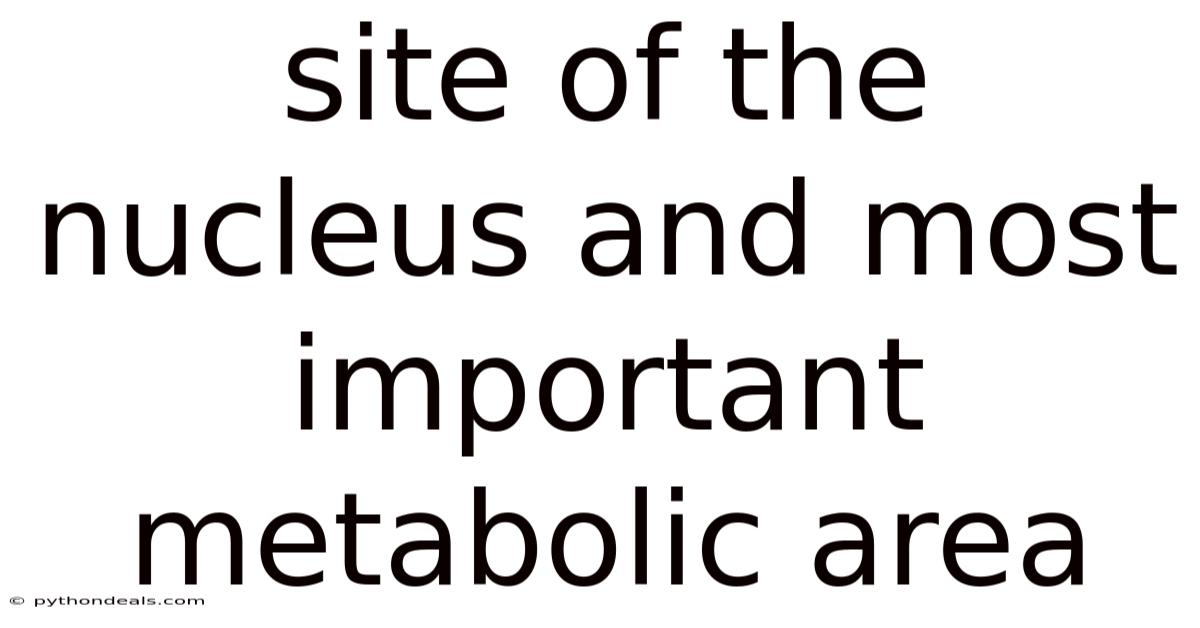 Site Of The Nucleus And Most Important Metabolic Area
