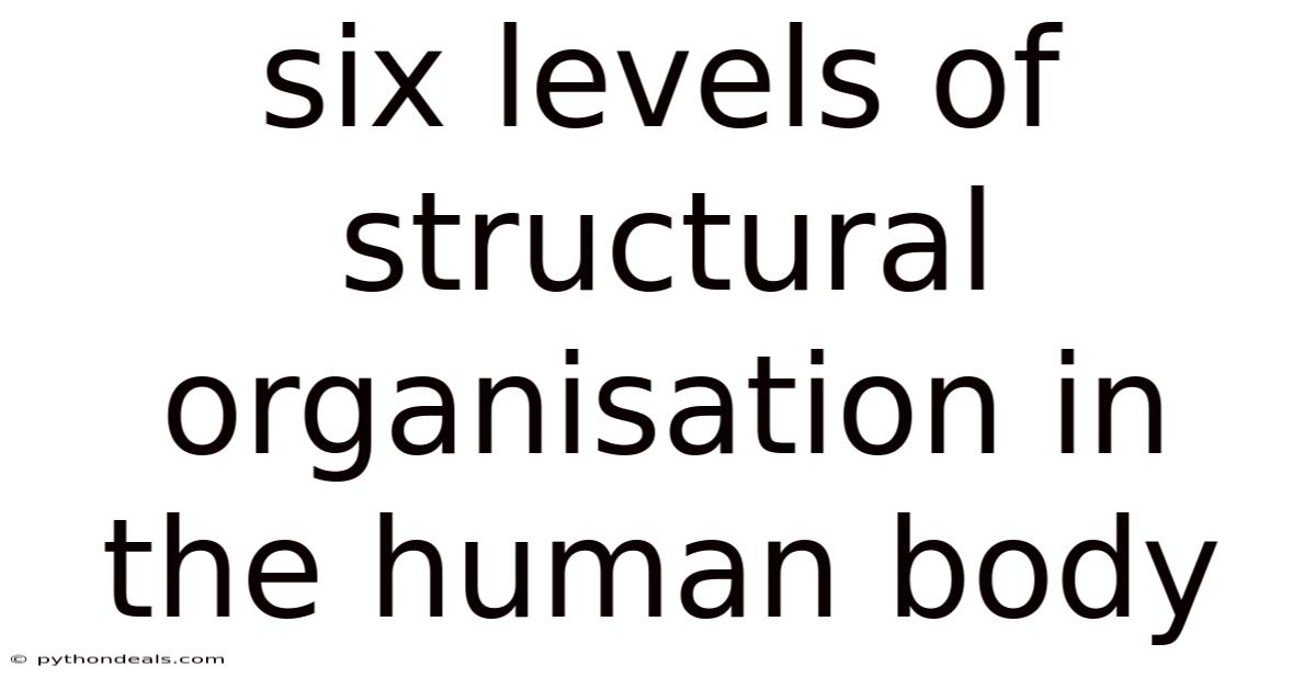 Six Levels Of Structural Organisation In The Human Body