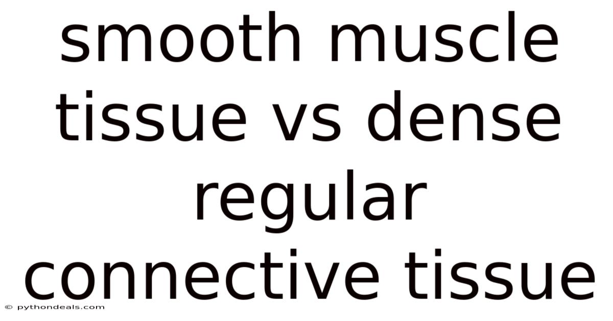 Smooth Muscle Tissue Vs Dense Regular Connective Tissue