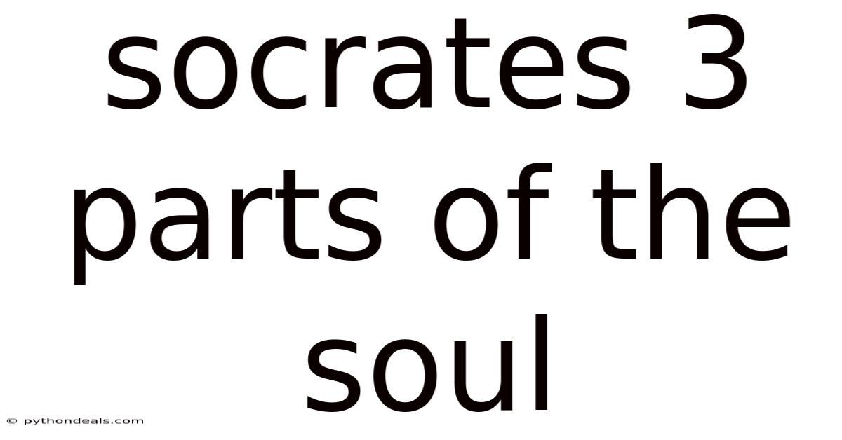 Socrates 3 Parts Of The Soul