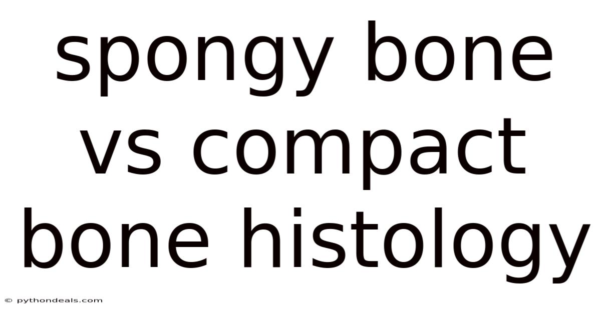 Spongy Bone Vs Compact Bone Histology
