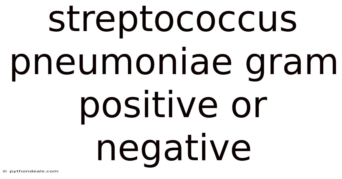 Streptococcus Pneumoniae Gram Positive Or Negative