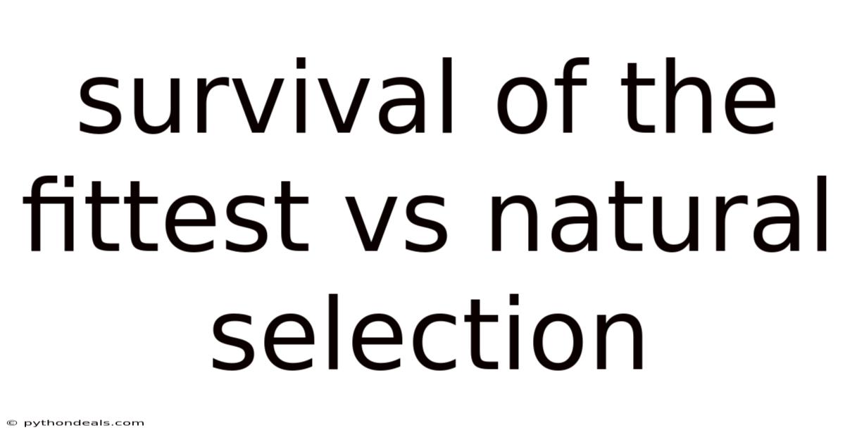 Survival Of The Fittest Vs Natural Selection