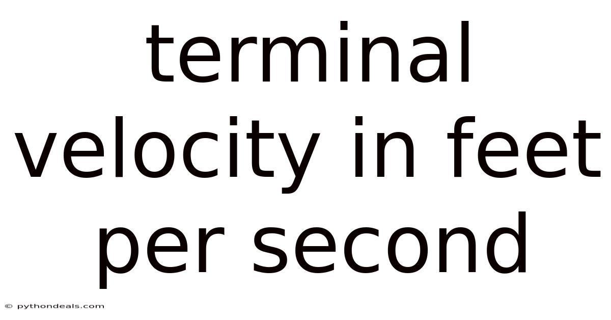Terminal Velocity In Feet Per Second