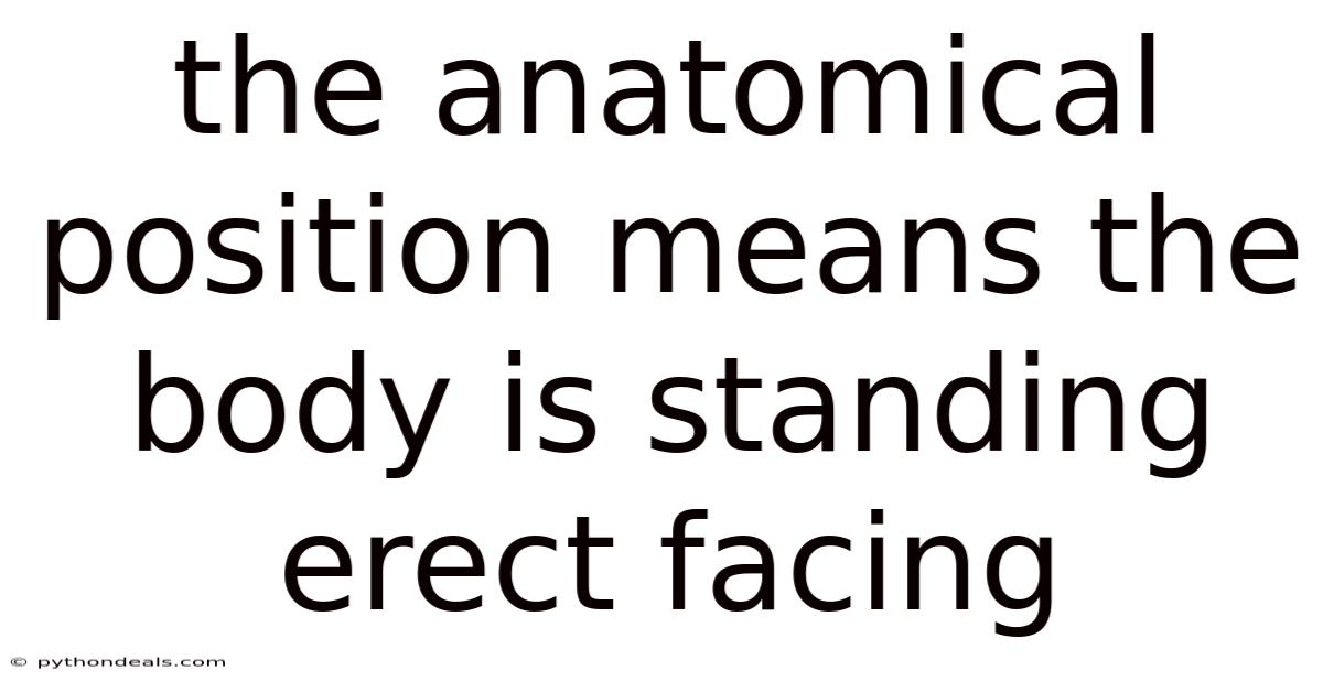 The Anatomical Position Means The Body Is Standing Erect Facing