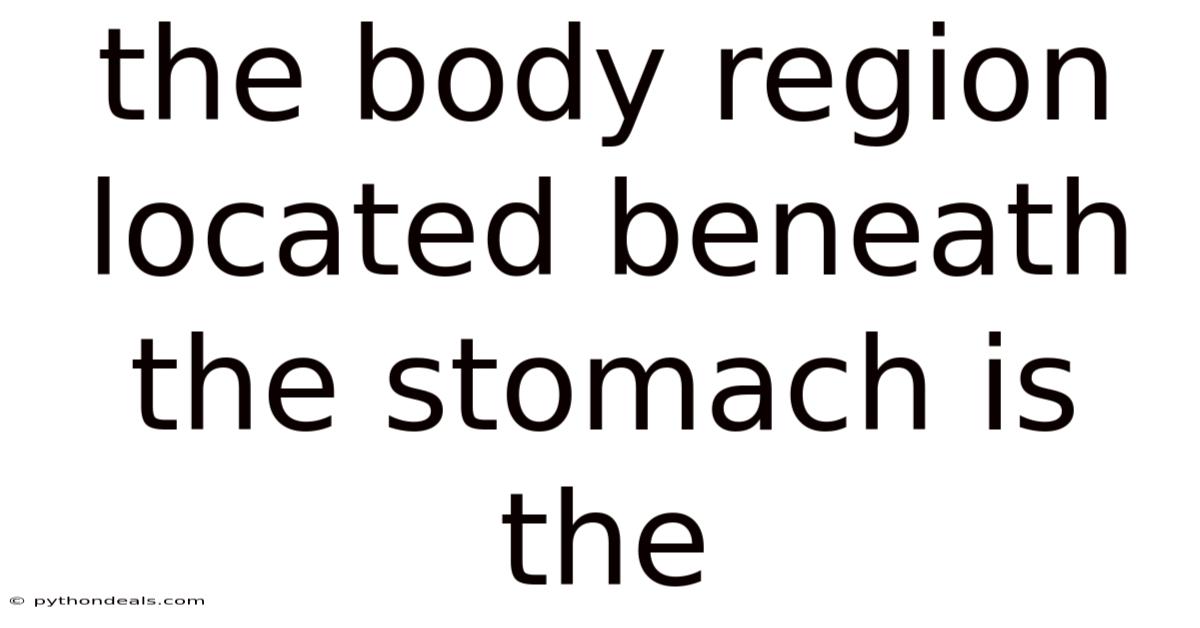 The Body Region Located Beneath The Stomach Is The