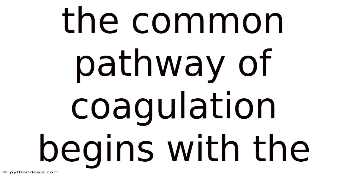 The Common Pathway Of Coagulation Begins With The