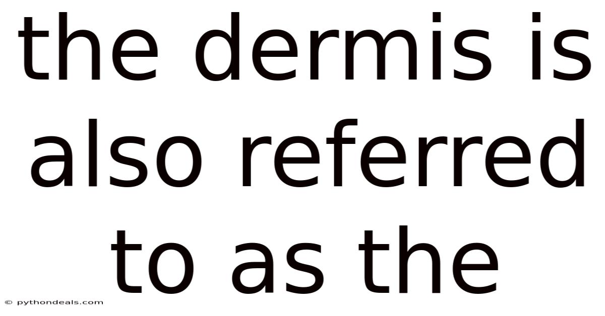 The Dermis Is Also Referred To As The
