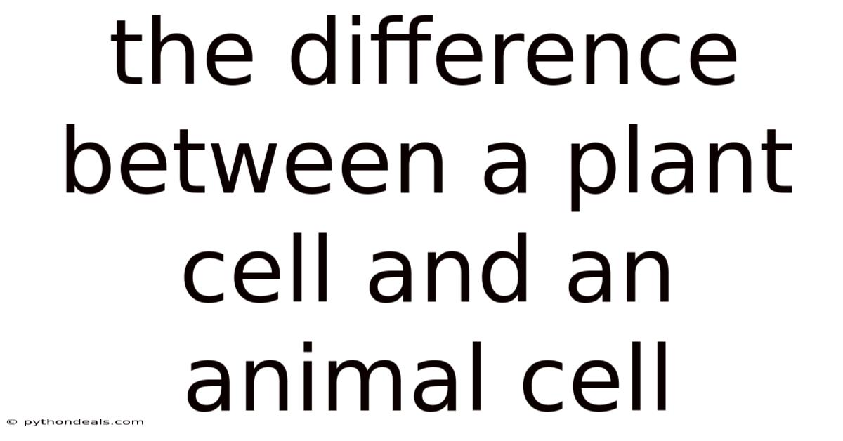 The Difference Between A Plant Cell And An Animal Cell