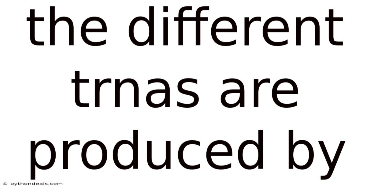 The Different Trnas Are Produced By