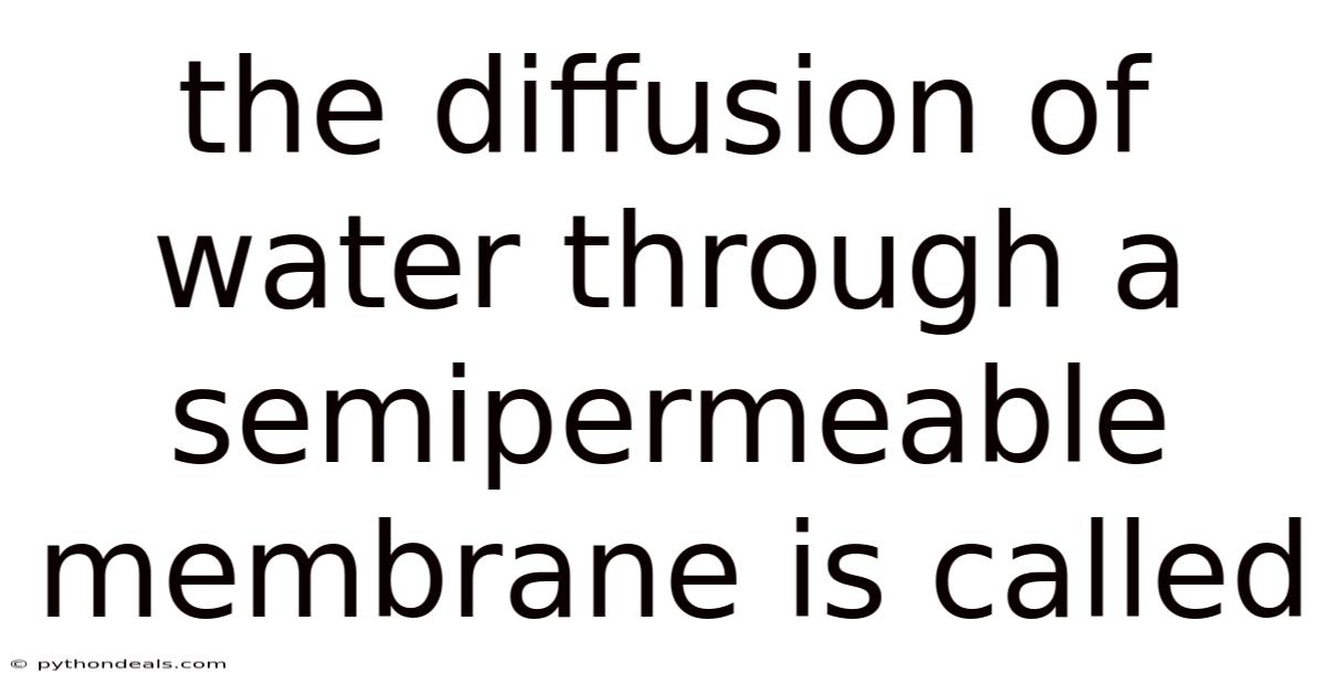 The Diffusion Of Water Through A Semipermeable Membrane Is Called