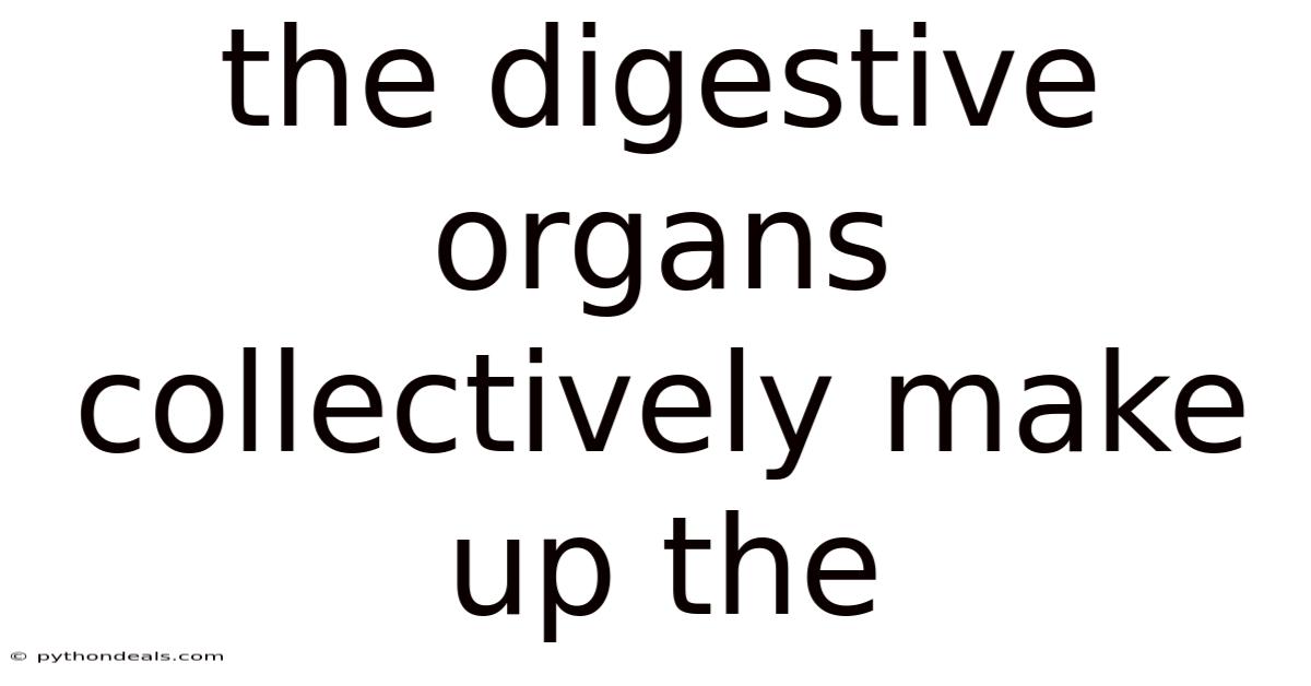 The Digestive Organs Collectively Make Up The