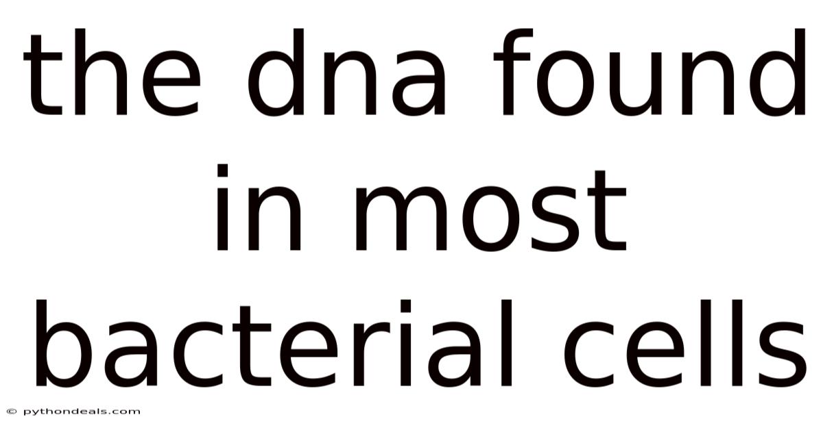 The Dna Found In Most Bacterial Cells