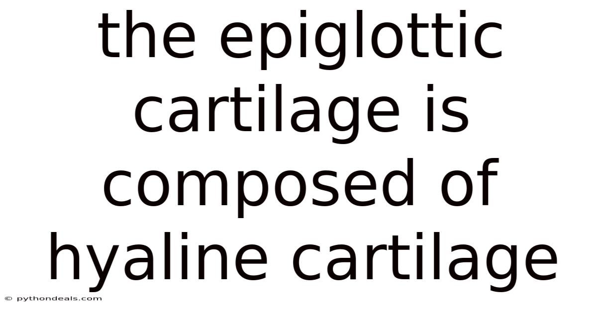 The Epiglottic Cartilage Is Composed Of Hyaline Cartilage