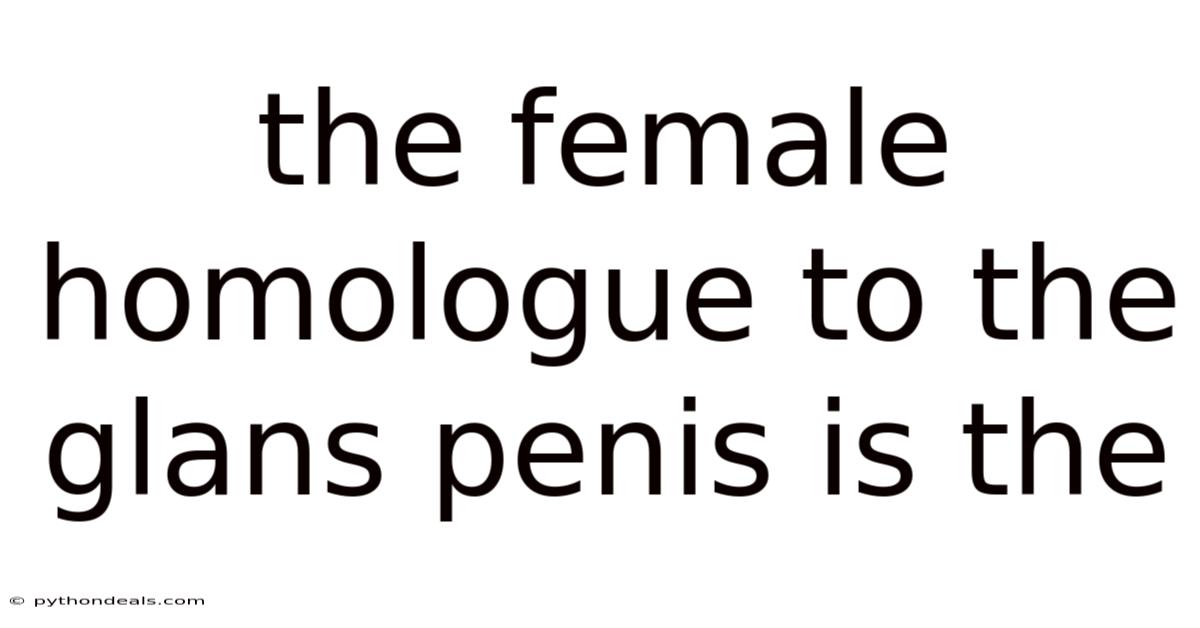 The Female Homologue To The Glans Penis Is The