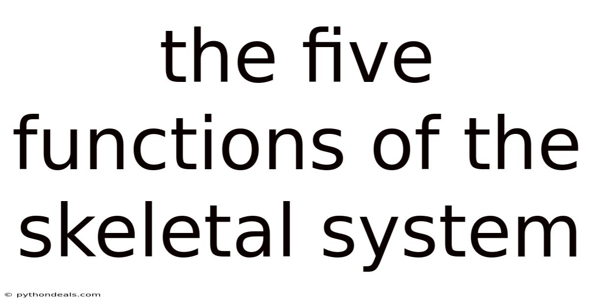 The Five Functions Of The Skeletal System