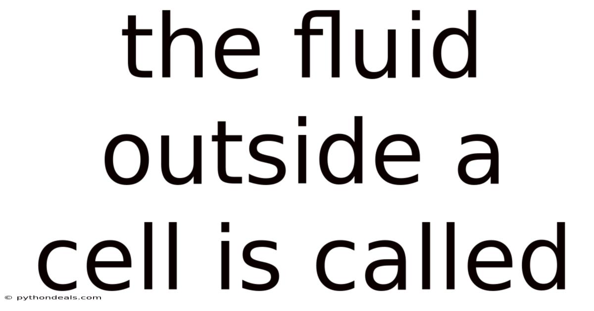 The Fluid Outside A Cell Is Called