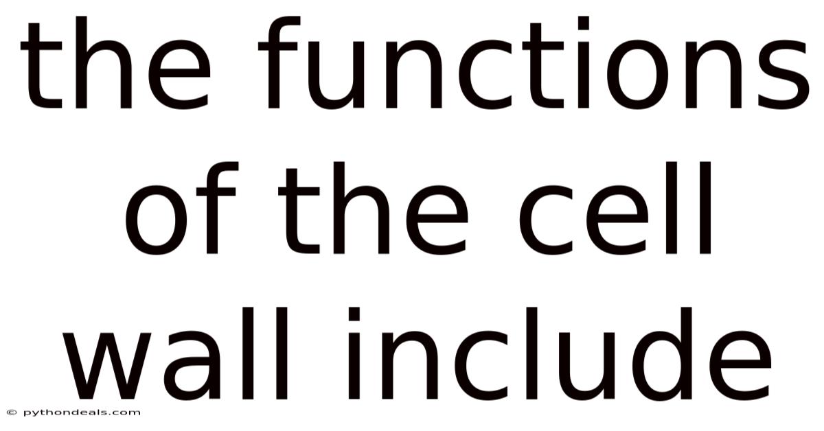 The Functions Of The Cell Wall Include