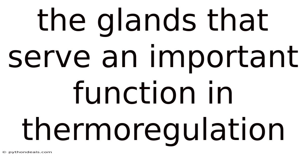 The Glands That Serve An Important Function In Thermoregulation