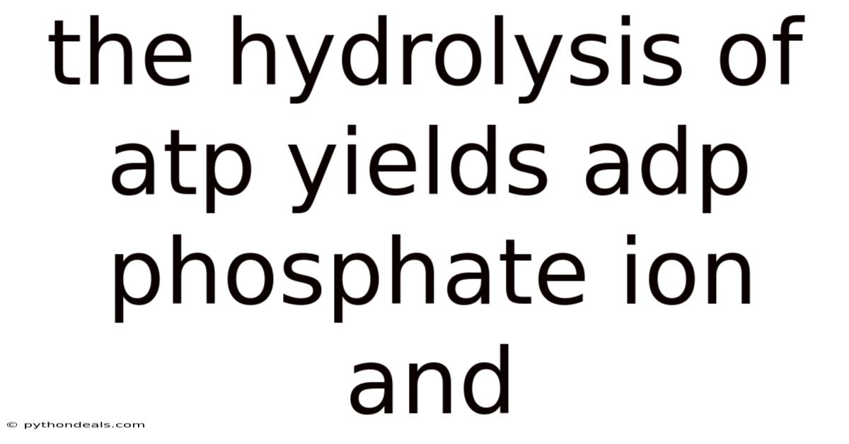 The Hydrolysis Of Atp Yields Adp Phosphate Ion And