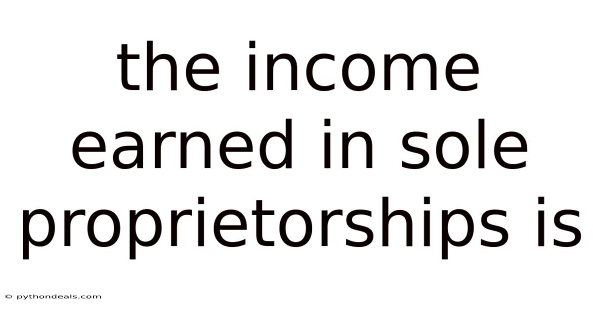 The Income Earned In Sole Proprietorships Is