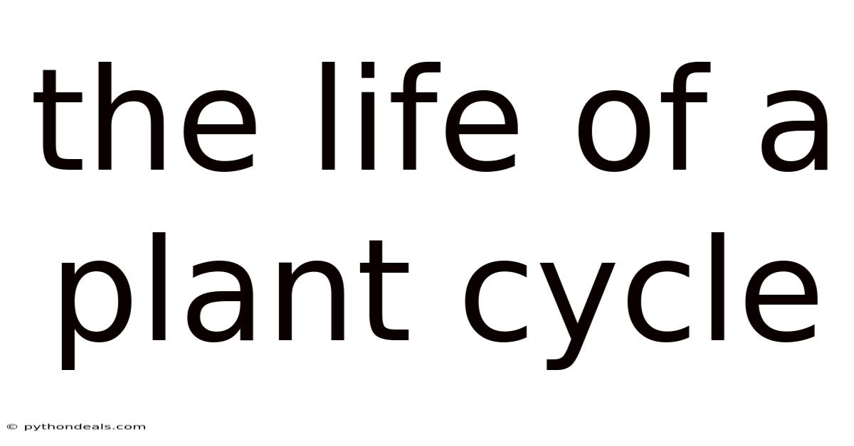 The Life Of A Plant Cycle