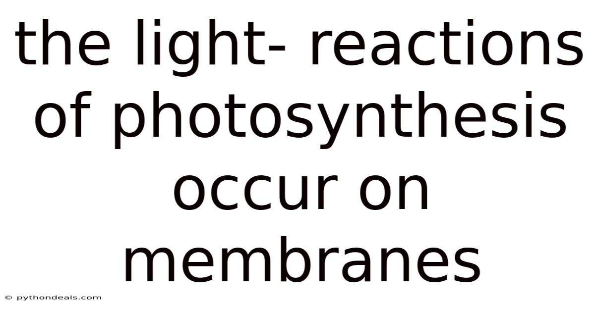 The Light- Reactions Of Photosynthesis Occur On Membranes