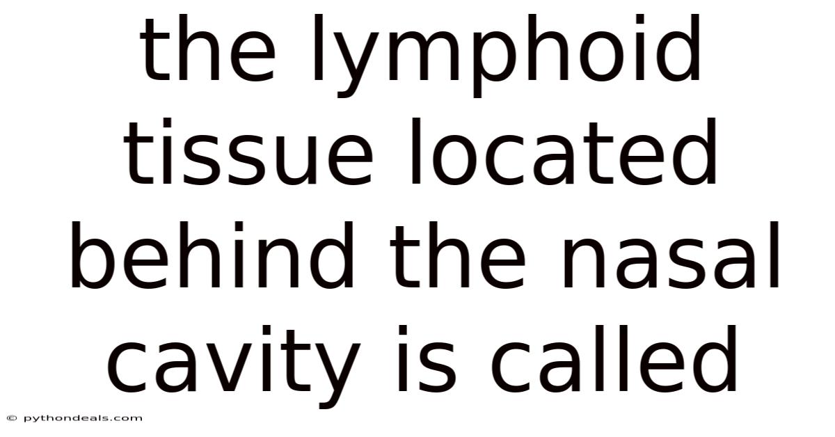 The Lymphoid Tissue Located Behind The Nasal Cavity Is Called