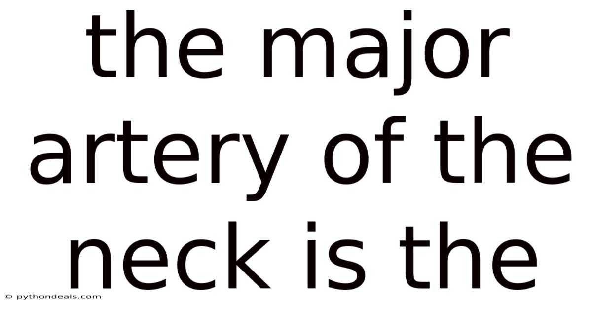 The Major Artery Of The Neck Is The