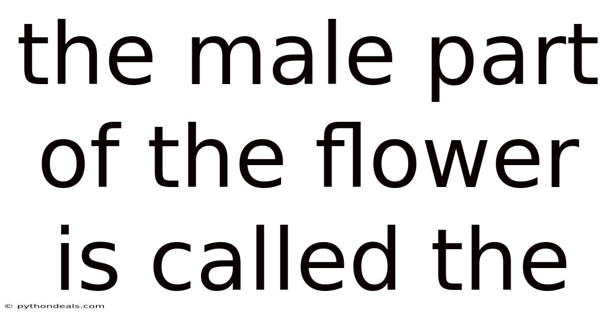 The Male Part Of The Flower Is Called The