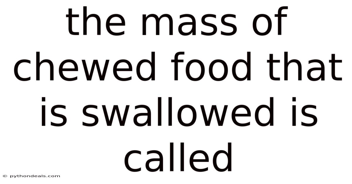 The Mass Of Chewed Food That Is Swallowed Is Called