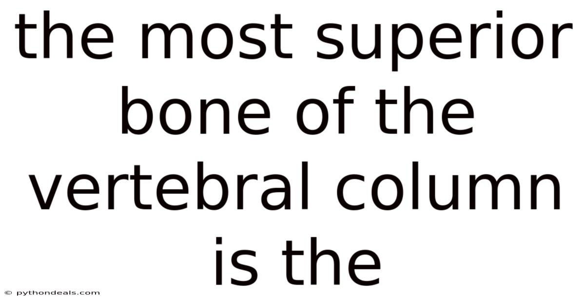 The Most Superior Bone Of The Vertebral Column Is The