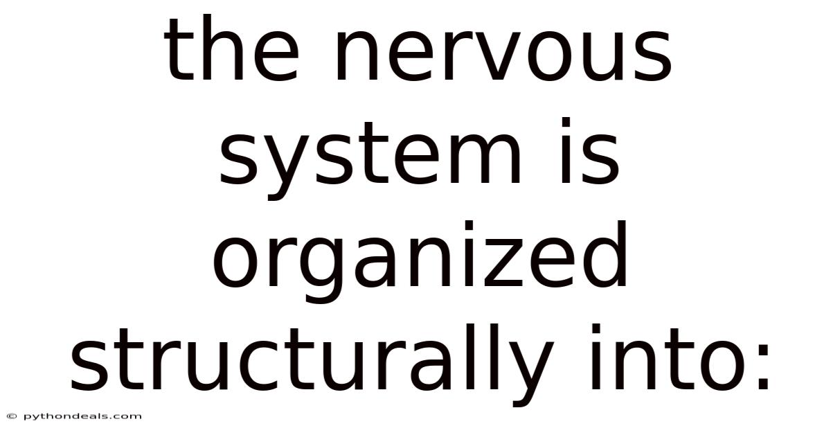 The Nervous System Is Organized Structurally Into: