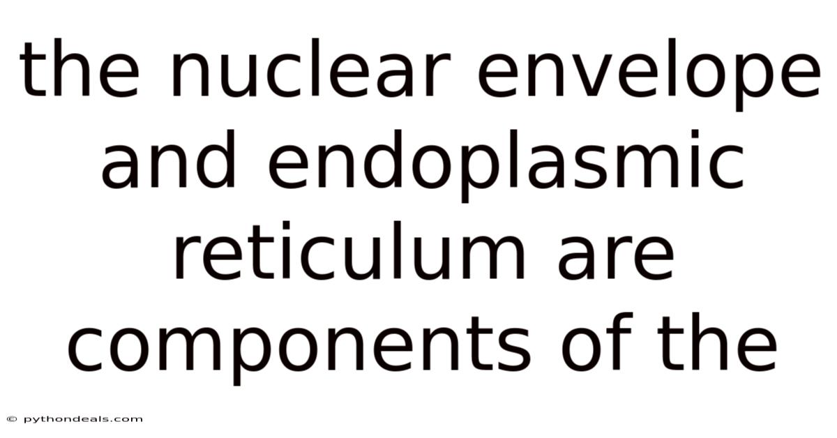 The Nuclear Envelope And Endoplasmic Reticulum Are Components Of The