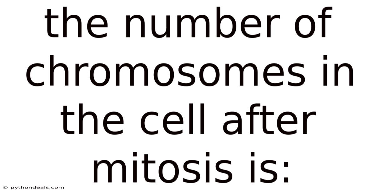 The Number Of Chromosomes In The Cell After Mitosis Is: