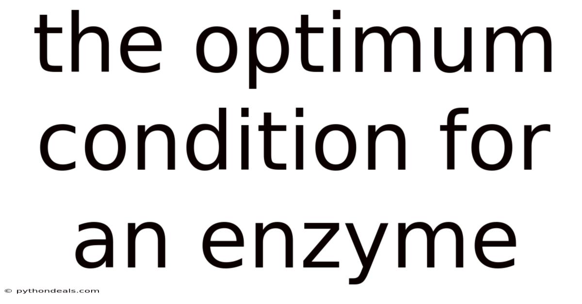 The Optimum Condition For An Enzyme