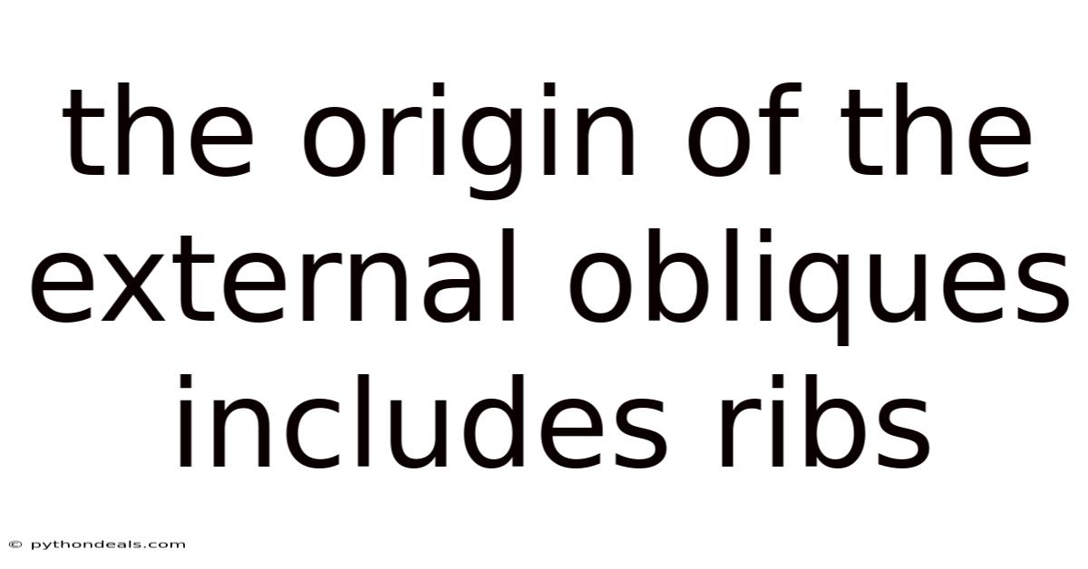The Origin Of The External Obliques Includes Ribs